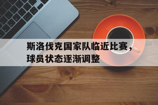 平博APP-斯洛伐克国家队最新大名单